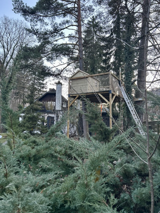 /Baumhaus_Steg/IMG_2143.jpeg