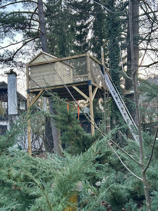 /Baumhaus_Steg/IMG_2144.jpeg